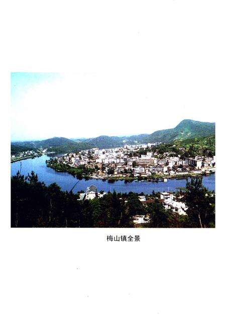 2003版安徽金寨  红土地上多精英  金寨县二百二十位名人录.pdf电子版_安徽省志预览图3