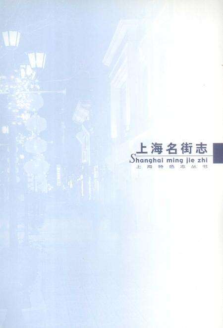2004-上海名街志.pdf电子版_上海市志预览图3