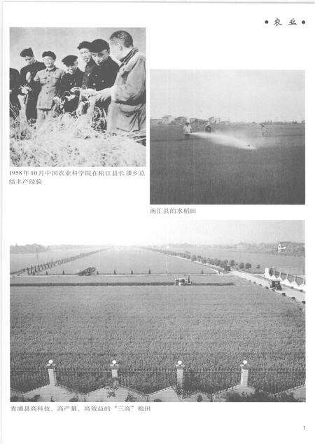 2005-上海通志  第5册.pdf电子版_上海市志预览图3