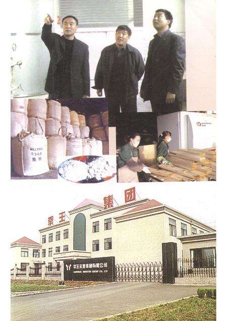 2005-抚顺县文史资料  第3辑.pdf电子版_辽宁省志预览图3