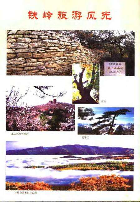 2006-铁岭年鉴  2006.pdf电子版_辽宁省志预览图3