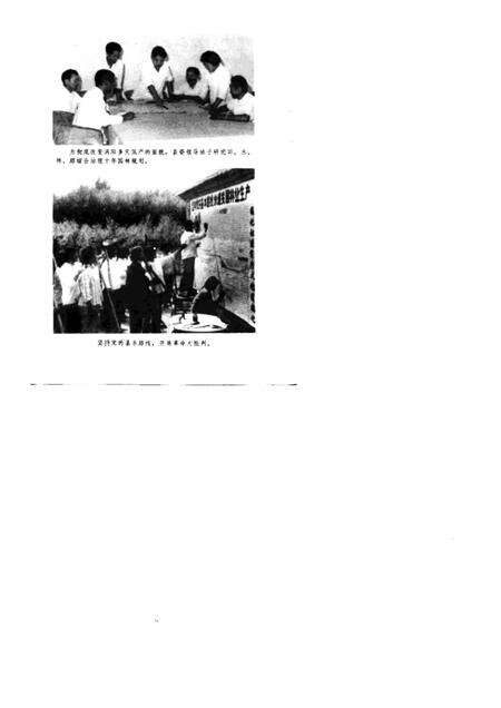 1976版农业学大寨先进典型  涡阳大地披绿装.pdf电子版_安徽省志预览图3