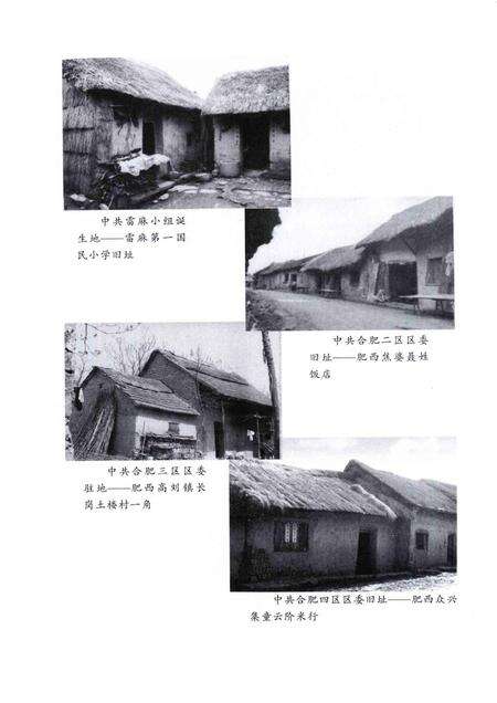 2008版中国共产党肥西地方史  第1卷  1919-1949.pdf电子版_安徽省志预览图3
