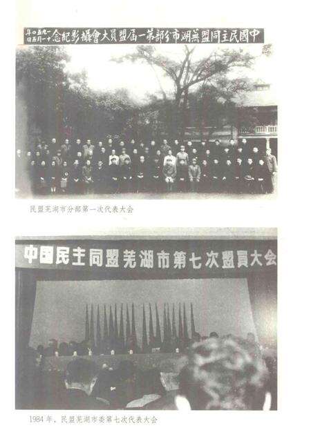 2013版芜湖民盟史.pdf电子版_安徽省志预览图3