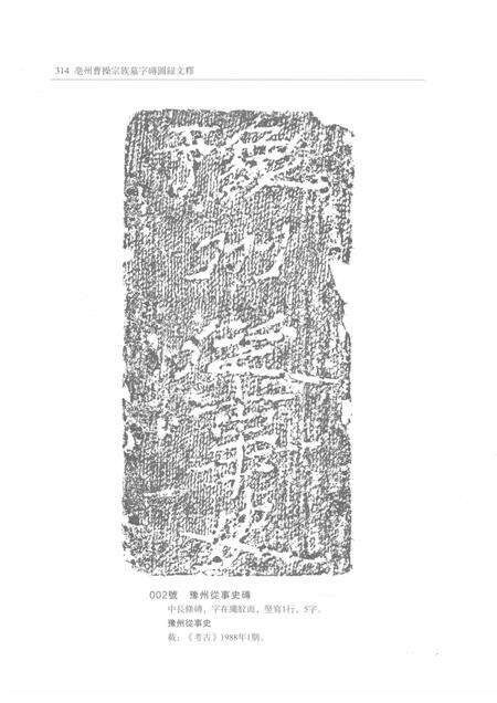 2015版亳州曹操宗族墓字砖图录文释  下.pdf电子版_安徽省志预览图3