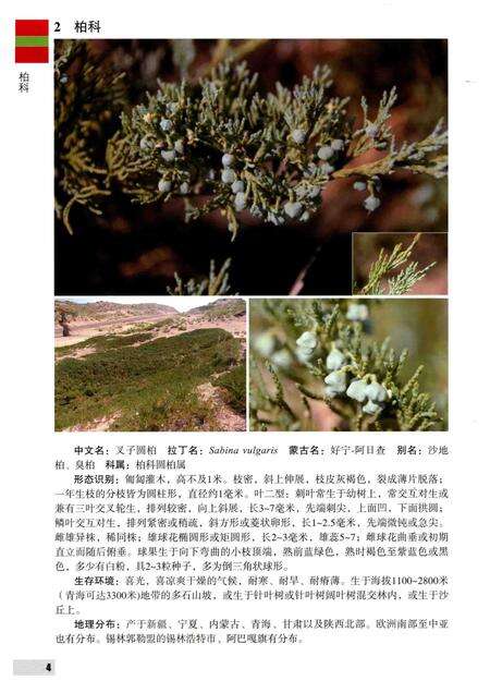 2016-内蒙古自治区锡林郭勒盟木本植物图鉴.pdf电子版_内蒙古志预览图3