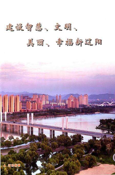 2016-辽阳统计年鉴  2016  上.pdf电子版_辽宁省志预览图3