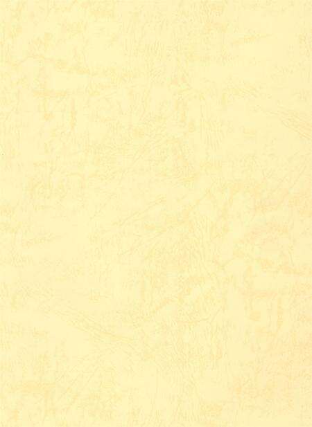 廊坊年鉴 第三卷.pdf电子版_河北省志预览图3