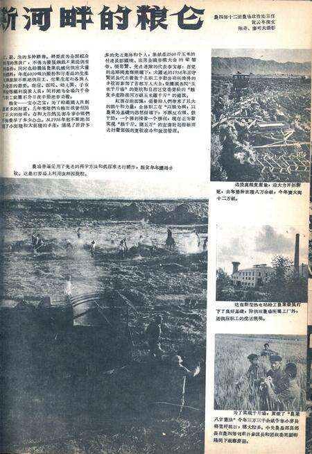 新疆画报1960年第08期.pdf电子版_新疆维吾尔族自治区志预览图3