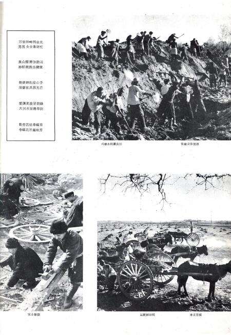 新疆画报1962年第01期.pdf电子版_新疆维吾尔族自治区志预览图3