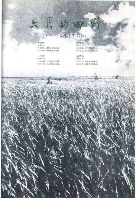 新疆画报1962年第06期.pdf电子版_新疆维吾尔族自治区志预览图3