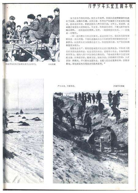 新疆画报1963年第01期.pdf电子版_新疆维吾尔族自治区志预览图3