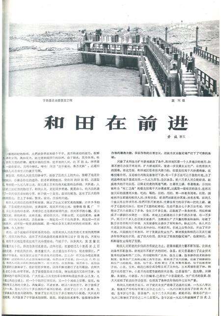 新疆画报1964年第04期.pdf电子版_新疆维吾尔族自治区志预览图3