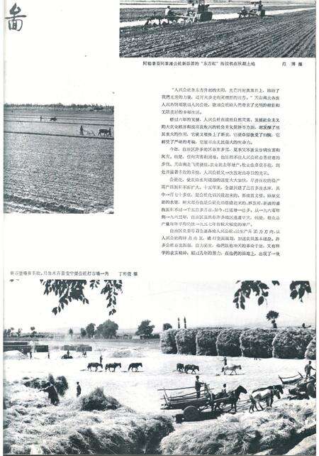 新疆画报1964年第05期.pdf电子版_新疆维吾尔族自治区志预览图3
