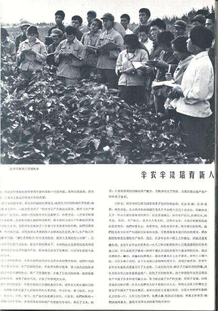 新疆画报1964年第06期.pdf电子版_新疆维吾尔族自治区志预览图3