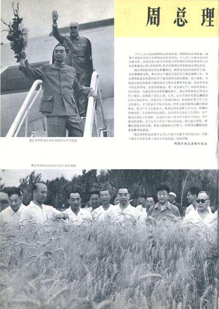 新疆画报1965年第04期.pdf电子版_新疆维吾尔族自治区志预览图3