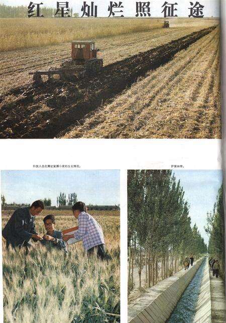 新疆画报1979年第04期.pdf电子版_新疆维吾尔族自治区志预览图3