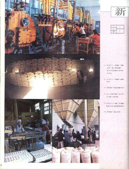 新疆画报1989年第01期.pdf电子版_新疆维吾尔族自治区志预览图3