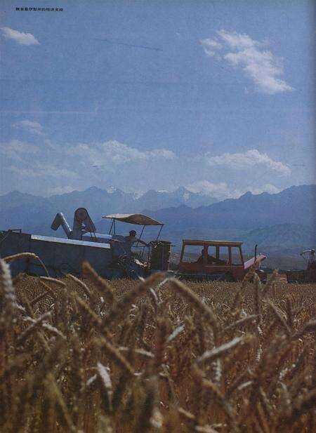 新疆画报1991年第06期.pdf电子版_新疆维吾尔族自治区志预览图3