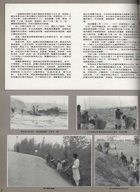 新疆画报1992年第04期.pdf电子版_新疆维吾尔族自治区志预览图3