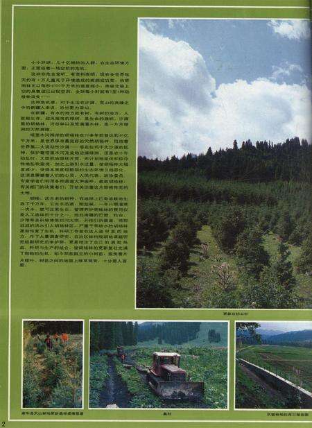 新疆画报1992年第05期.pdf电子版_新疆维吾尔族自治区志预览图3