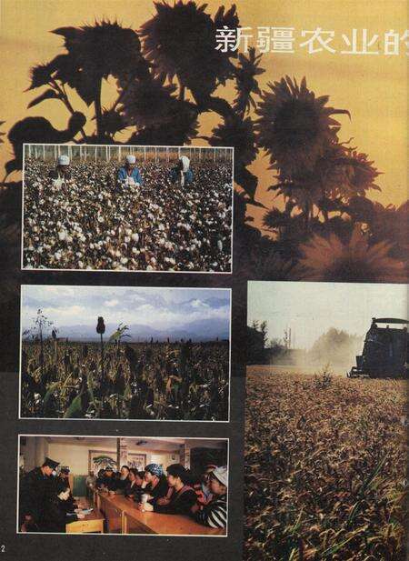 新疆画报1994年第05期.pdf电子版_新疆维吾尔族自治区志预览图3