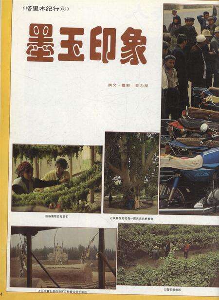 新疆画报1997年第02期.pdf电子版_新疆维吾尔族自治区志预览图3