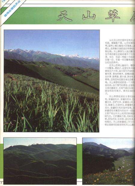 新疆画报1999年第01期.pdf电子版_新疆维吾尔族自治区志预览图3