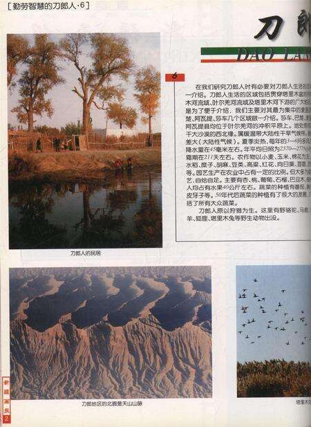 新疆画报2001年第03期.pdf电子版_新疆维吾尔族自治区志预览图3