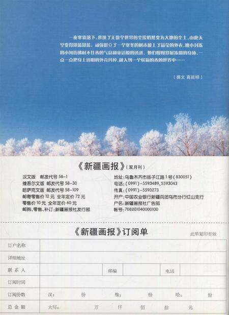 新疆画报2006年第02期.pdf电子版_新疆维吾尔族自治区志预览图3