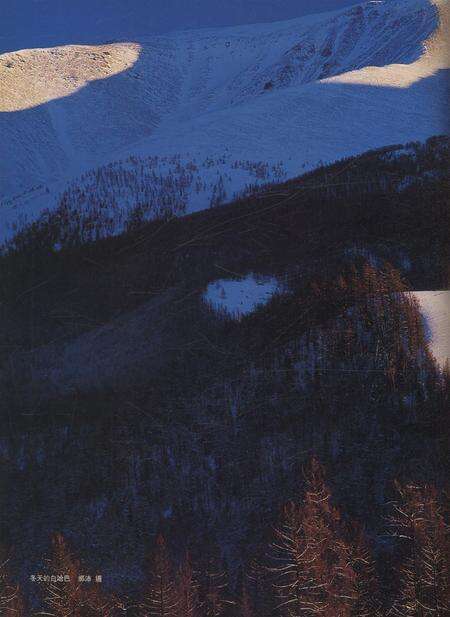 新疆画报2008年第06期.pdf电子版_新疆维吾尔族自治区志预览图3