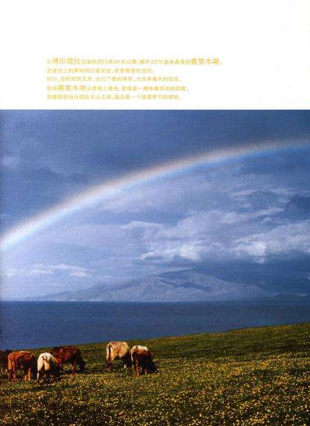 新疆画报2009年第05期.pdf电子版_新疆维吾尔族自治区志预览图3