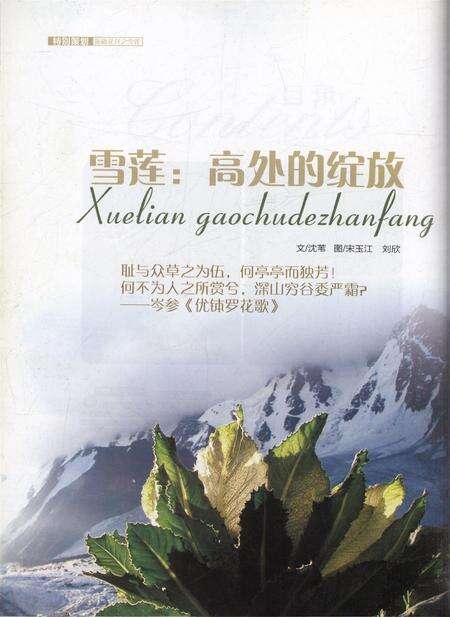 新疆画报2010年第06期.pdf电子版_新疆维吾尔族自治区志预览图3