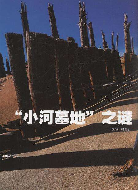 新疆画报2010年第12期.pdf电子版_新疆维吾尔族自治区志预览图3
