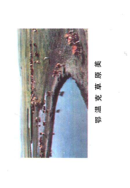 1986-鄂温克族自治旗社会经济发展概况  1981-1985.pdf电子版_内蒙古志预览图3
