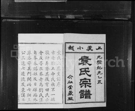 浙江袁氏族谱-上虞小越袁氏宗谱 [8卷].pdf电子版预览图2