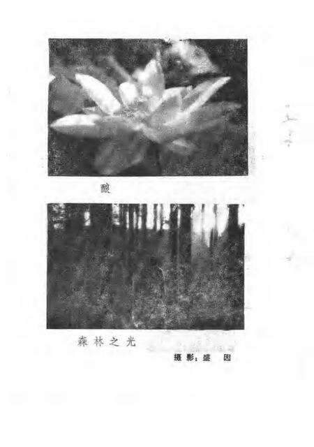 1987版南陵县文史资料  第6辑.pdf电子版_安徽省志预览图4