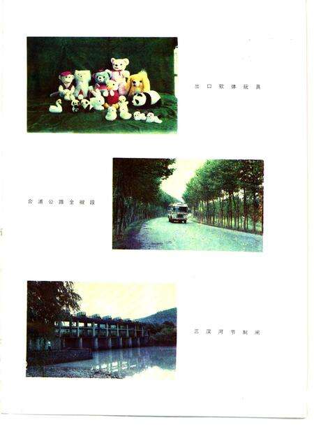 1988版全椒县志.pdf电子版_安徽省志预览图4