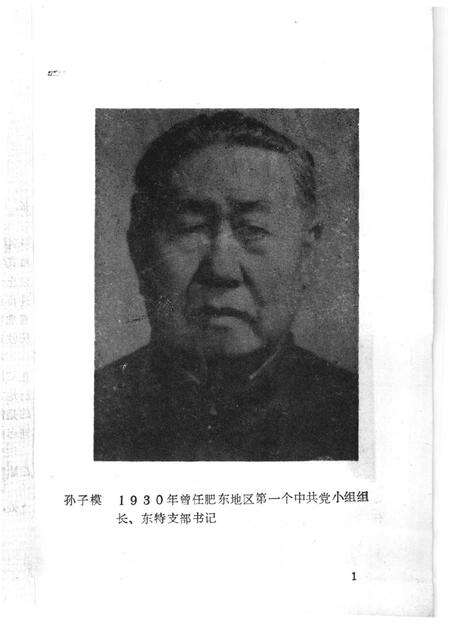 1989版肥东党史资料选辑  第2辑.pdf电子版_安徽省志预览图4