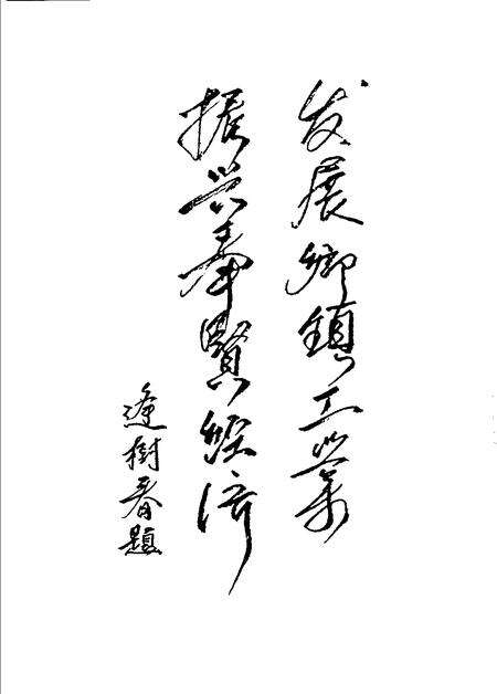 1990-上海市奉贤县乡镇工业志.pdf电子版_上海市志预览图4