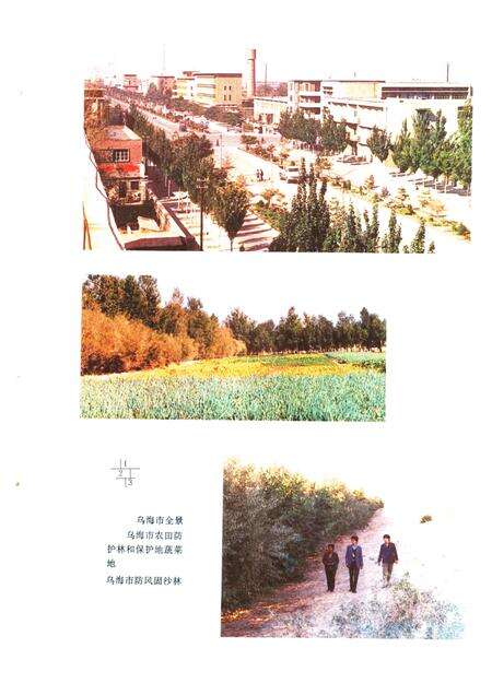 1990-乌海市农业区划.pdf电子版_内蒙古志预览图4