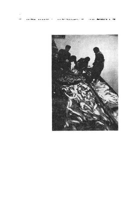1990版南陵县文史资料  1990年第10辑.pdf电子版_安徽省志预览图4