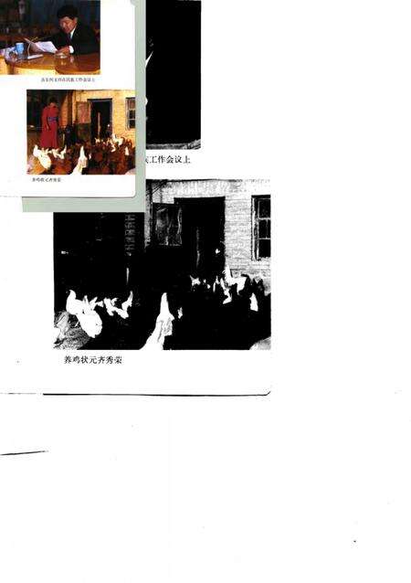 1991-辽宁省阜新蒙古族自治县民族志.pdf电子版_辽宁省志预览图4