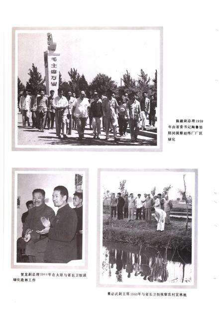 1992-山西通志  第9卷  林业志.pdf电子版_山西省志预览图4