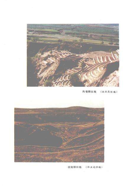 1992-平鲁县志.pdf电子版_山西省志预览图4