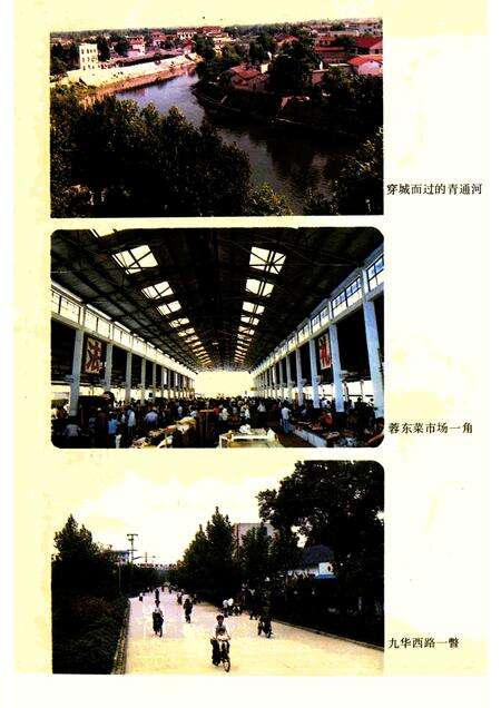 1992版青阳县志.pdf电子版_安徽省志预览图4