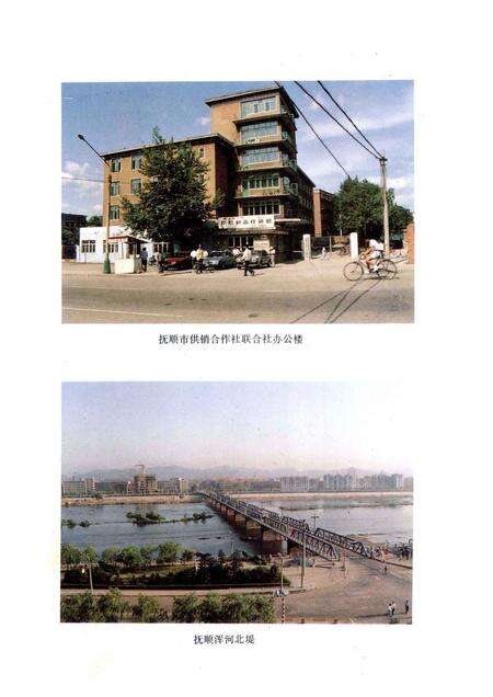 1993-抚顺市供销合作社志.pdf电子版_辽宁省志预览图4