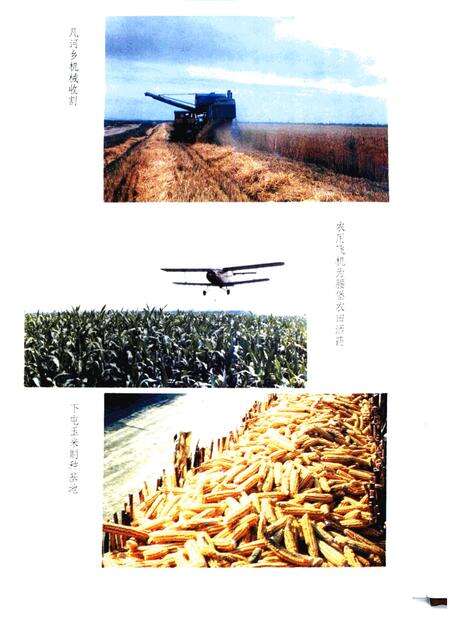 1993-铁岭县志.pdf电子版_辽宁省志预览图4