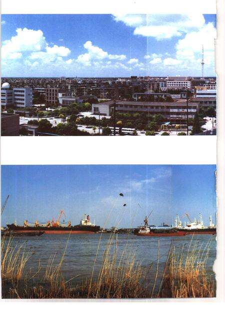 1993.07-上海县志.pdf电子版_上海市志预览图4