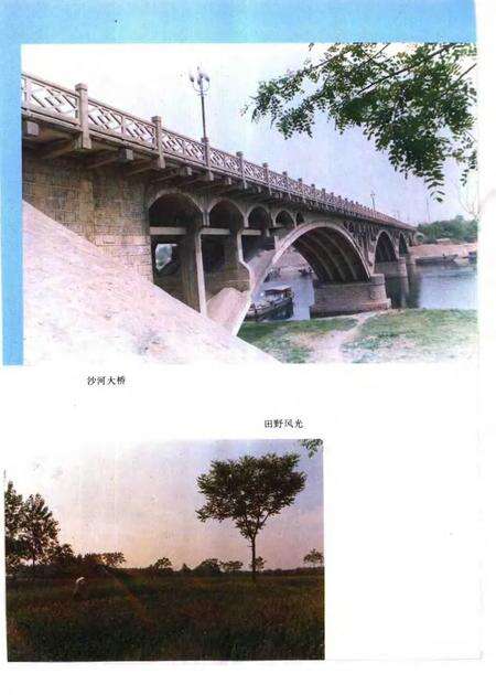 1993版太和县志.pdf电子版_安徽省志预览图4